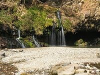 NHK大河『鎌倉殿の13人』静岡県・富士宮市で歴史を実感！  大泉洋演じる源頼朝の大規模軍事演習「富士の巻狩」のゆかりの地とは？