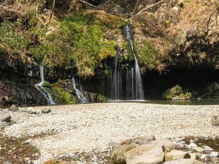 NHK大河『鎌倉殿の13人』静岡県・富士宮市で歴史を実感！  大泉洋演じる源頼朝の大規模軍事演習「富士の巻狩」のゆかりの地とは？