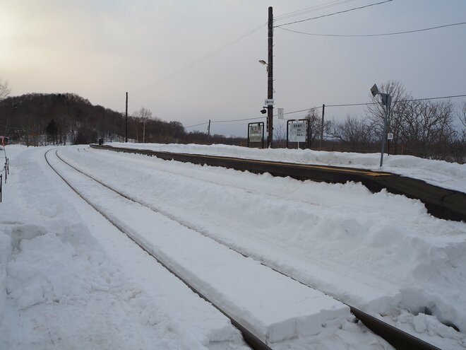 「えっ！？　汽車の窓からタンチョウが！」鉄道で楽しむ冬の旅【北海道・厳冬の釧路湿原レポート（4）SL冬の湿原号】の画像003