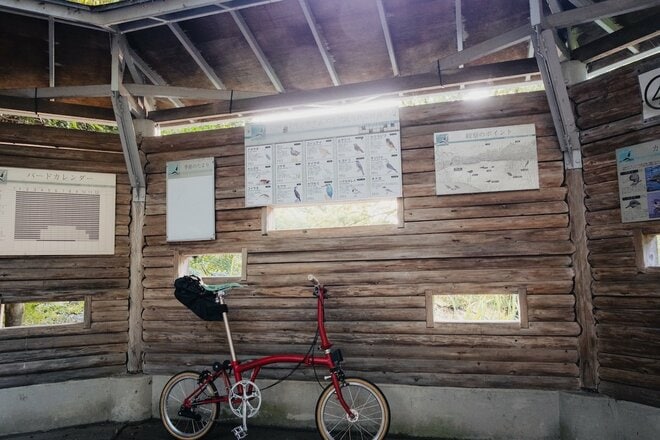 たった10kmの自転車周遊「ミズイチ」ってなに？  23区随一の水郷公園なら30分でもかなりエピック【ゆる6輪の旅 vol.01 水元公園】の画像009