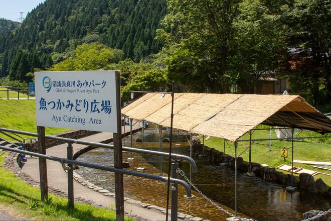 伝統と格式、多彩な漁法＆夏の味覚としての一面も！  “清流の女王”「アユ」 一度は「見て、釣って、食べて」堪能したい「長良川」体験レポの画像006
