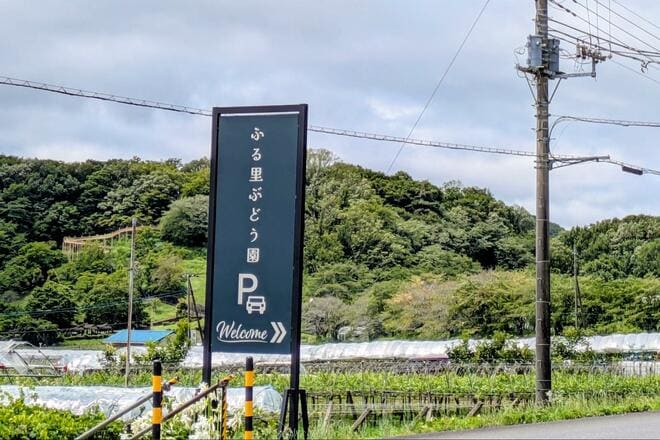 シャインマスカットや巨峰をキャンプで味わう贅沢！「大平ぶどう団地」現地4年通いライターの「注目スポット」＆「3つのメリット」レポート【栃木県栃木市大平町】の画像006