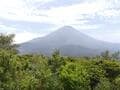 あふれる秘境感＆圧巻の近距離「富士山」絶景！  樹海を抜け、子抱富士「大室山」の頂へ！  下山後は鳴沢氷穴や温泉立ち寄りもOK「3時間ハイキング」レポの画像006
