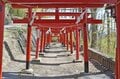 【春の信州でお花見散策】朱塗りの柱が目を引く空中楼閣！  圧巻の懸崖造り 難読「鼻顔稲荷神社」は桜の名所！  長野県佐久市・2024年の画像003