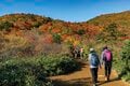 秘境！ 絶景！ ここだけは行きたい！【紅葉の山歩き ベスト4】東北編「飯豊連峰・栗駒山・朝日連峰・安達太良山」の画像009
