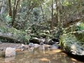 ＜残暑にオススメな“低山の早朝ハイキング”コースPart2＞“涼めるポイント”も豊富な「サクっとモーニングトレイル」私市（きさいち）編【里山アドベンチャー！ソトアソ日和 vol.6】の画像001