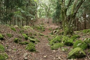 【NHK大河『豊臣兄弟！』ゆかりの城】実にしつこい… 光秀が築いた「丹波 二大山城」のひとつ「丹波国・周山城〈前編〉」（京都府京都市）【戦国の山城を攻める vol.09】