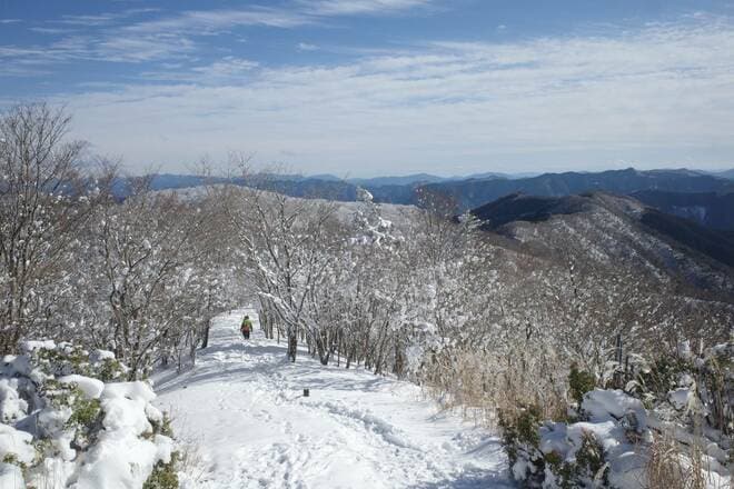 【地域おこしのカギとなれるか】世界遺産に登録されなかった “幻の熊野古道”「奥辺路」とは？【耕して、焙煎して、走る男　人口2,800人の村に移住してみました vol.12】の画像002