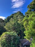 【首都圏近郊】1時間で登れるとは思えない絶景！  房総のマッターホルンこと「伊予ヶ岳」は今からのシーズンがおすすめの画像012