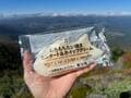 秋の“山のお楽しみ”に！  登山に持っていきやすい「コンビニスイーツ」3選！  日帰り低山で実践「山頂のご褒美＆贅沢」レポートの画像002