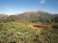 登山歴20年ライターの「紅葉風景」ベスト3　北アルプス・雲ノ平「岩と紅葉」が織りなすしみじみとした色合いのパッチワークの画像007