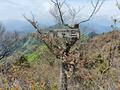 夏の「富士山」と「西湖」のコラボ絶景を満喫する稜線歩き！「雪頭ヶ岳・鬼ヶ岳」ハイキングレポートの画像004