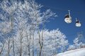 HAKUBAVALLEYのフラッグシップ【白馬八方尾根スキー場・長野県】エリア随一のビッグゲレンデにサーフライドパーク「HAPPO PARKS -NATURES-」誕生！の画像001