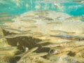 【手軽に出会える絶景】美しすぎる山上の湖・中禅寺湖！ 「新緑の湖畔をハイキングしてのんびり過ごすひととき」 歌ヶ浜から見るドラマチックな夕景！ 2022年・栃木県奥日光の画像013