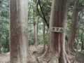 『ラスト サムライ』のロケ地にもなった「書写山圓教寺」 荘厳な山頂エリアが “本命” の低山「現地レポ」  夏はロープウェイ往復もOK！の画像006