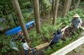 「海賊船、森に浮かぶ」 荒野を癒しの場に変えるツリーテラス作り【ユーコンカワイのシン・サウナ村建設記 vol.6】の画像005