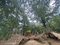 子どもと行く、アウトドアな“おでかけ”に潜む落とし穴「失敗しないための3か条」とは？【家族でソトアソビ！vol.３】の画像009