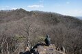 【首都圏近郊】春の週末ハイキングおすすめルート「足利アルプス」は標高の割に高度感＆歩き応え＆夜景が抜群！の画像013