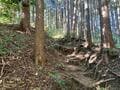 初心者にもおすすめ「駐車場から1時間」のミニ登山！  広々した山頂から富士山・伊豆半島・駿河湾を望む「絶景スポット」静岡県・浜石岳とは？の画像002