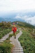 「絶景ハイキング」イチ押しスポット【白馬八方尾根】 リフトを降りて60分！  白馬三山を映す「八方池」 へ行こうの画像005