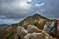 “紅葉舞い散る鈴鹿の名峰へ”  超お買い得な最短ルートだけど魅力たっぷり！  鈴鹿「鎌ヶ岳」晩秋の登山レポート【滋賀県・三重県】 2024年