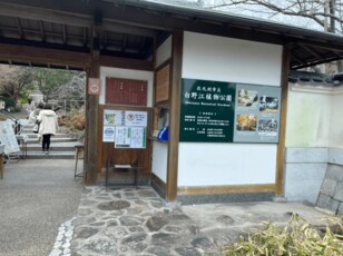 「樹齢500年・世界で一つだけの桜」！  福岡県天然記念物「白野江のサトザクラ」は例年「4月上旬」の今が見頃！「白野江植物公園」の魅力
