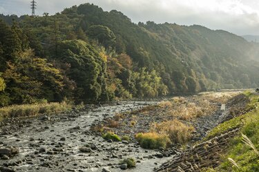 渓流釣り】関東圏の冬季キャッチ＆リリース区間『箱根早川』でサイト