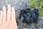 過去最悪の「クマ被害」！ 「人身被害全国1位」秋田県在住ライター「車・公園・果樹園…」いつでも、どこでも、誰でも遭遇のリスク【現地レポ】の画像001