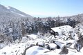 雪山ビギナーでもOK！ 「北八ヶ岳」絶景スノートレッキング「渋の湯登山口」から「高見石展望台」往復約4時間「ハイキングレポ」の画像005