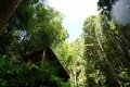 【滝つぼが水風呂！】徳島移住女性オーナーが建てた「森を再生させるDIYサウナ」での唯一無二「大自然サウナ」体験取材の画像005
