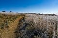 世界遺産、富士山と南、北、中央アルプス全部乗せ！  “絶景、全振り” わずか10分の山歩き「諏訪湖を望む、高ボッチ山」【長野県】 2024年の画像002