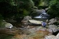 【世界自然遺産・屋久島】屋久杉の巨木「弥生杉・二代杉・気根杉」と苔に包まれた “もののけの森”「白谷雲水峡」をめぐるの画像003
