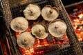【良い炭があればBBQは“焼くだけで美味い”】食のプロが見た良い炭の代名詞「紀州備長炭」の実力【料理と道具とアウトドア vol.10】の画像007