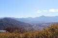 早春のロウバイ咲く「宝登山」絶景ハイキング！  木漏れ日の「長瀞アルプス」 尾根歩き＆下山はロープウェイ利用もOK！ 「現地レポ」【埼玉県秩父郡長瀞町】の画像012