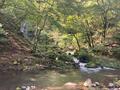 「ほぼ下るだけ」の「ラク珍」登山！ 穴場「マイナスイオン三滝」＆爽快「牧場」絶景の山！ 栃木県日光市「霧降大山」レポートの画像002