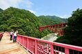 『黒部峡谷トロッコ電車』で新緑のトンネルを潜り抜ける快感は「この時期だけ」の特別空間【富山県黒部市】の画像005