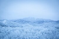 冬の北海道「車中泊」必需アイテムと「絶対外せない」注意点とは？