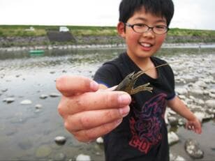 「テナガエビ」は “二刀流スタイル” がいい！  昼は定番「ウキ・探り釣り」＆ 夜は「仕掛けカゴ」のボーナス感！  食べても美味しい「実釣レポ」