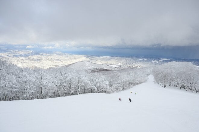 スキーもいいけど、青森行くなら観光も楽しまなきゃ！  冬でも “ねぶた” が間近で見られる「ねぶたの家 ワ・ラッセ」＆ 巨大彫刻 “あおもり犬” が鎮座する「青森県立美術館」の画像001
