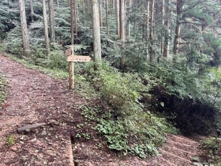 ＜紅葉前に“関西屈指”のススキの大海原もお見逃しなく！＞大阪市内から“車で小一時間で行ける”「岩湧山」ハイキングルート【里山アドベンチャー！ソトアソ日和 vol.７】の画像020