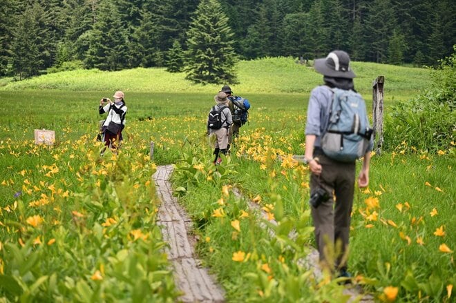 “まるっと楽しむ 尾瀬の山歩き” vol.1【福島県 檜枝岐村】 江戸時代から続く “歌舞伎の村”！  入山口からたった40分で花の宝庫「大江湿原」への画像002