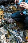 【渓流釣り】思い残すことがないように！  友人を連れて今年一番気になった渓へ「幻の天然コバルトマスはどこへ？」 長野県・2025年の画像005
