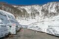 【山スキー】残雪に覆われたブナの森が芽吹きだす 「信越トレイルの名峰、鍋倉山の春を滑る」 長野県飯山市・関田山脈 2025年の画像003
