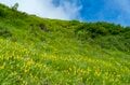 【信州の絶景】心ときめく雲上の稜線歩き！ 八方池「可憐な花々と魅惑のリフレクション」白馬・2022年8月の画像004