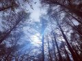 登山「意味が分かると怖い写真」初夏は爽やかでも…「天候・ウェア・アクセス」見極め困難！ 山での「計算ちがい＆見当ハズれ」頻発トラブル「実体験レポ」の画像003