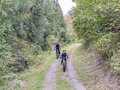 冬だけの遊び場じゃない！ 野沢温泉のグリーシーズン2021開幕【MTB編】の画像008