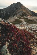 【日本百名山】秋の“北岳”登山！「ドラマチックな展開からの絶景に感動」【南アルプス・山梨県 2023年】の画像008