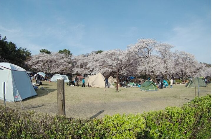 キャンプデビューの最適シーズンは「春」！  30年以上キャンプを楽しむライターが教える「10の魅力」と失敗しないための「3つの注意すべきこと」 