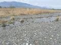 「近くにある河川敷でテント泊」はOKか！？  山や海ならどうなの？ 「調べてみた」【“気軽すぎ”はNG！ アウトドア・ボーダーチェック】の画像003