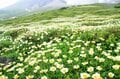 【北海道】旭岳温泉「ホテルベアモンテ」にて6月21日（土）より「大雪山旭岳・登山応援プラン」の提供をスタート！  旭岳の開山に合わせ、初心者から楽しめる2つの宿泊プランの画像003